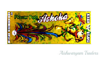 FLOWER POTS ASHOKA
