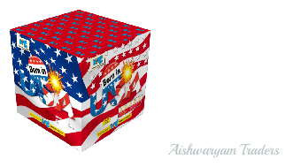 BORN IN USA